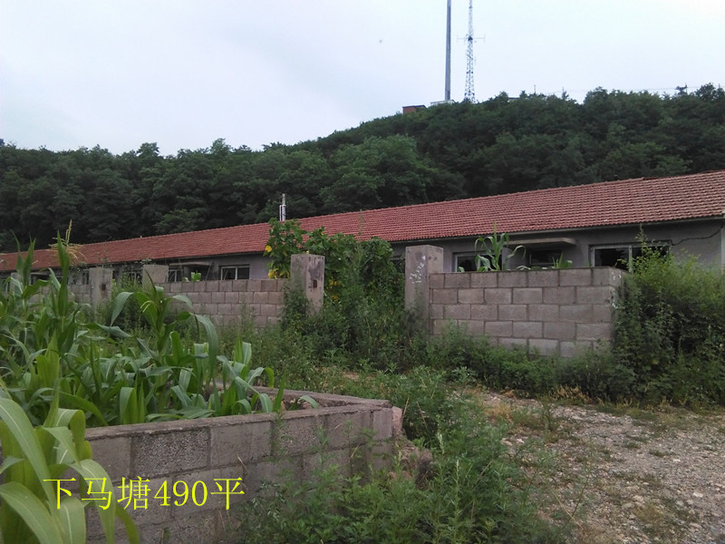 6̖  Ϸ҅^(q)R(zhn)̼Ҵ巿a