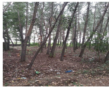 1̖ ɽǧɽ^(q)h(zhn)O´弯wʹÙ