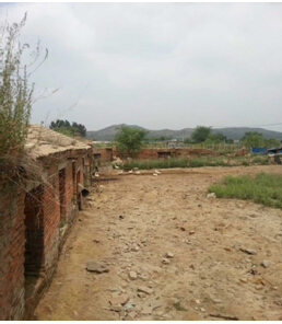 17-18̖ (zhn)XԭFFSwʹÙ༰S